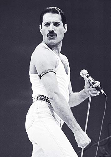 Close Up Póster Queen - Freddie Mercury [Live Aid] (59,5cm x 84cm)