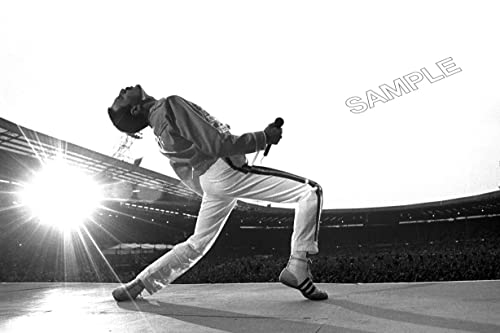 Póster de Freddie Mercury, diseño de música Rock Blues, tamaño A4
