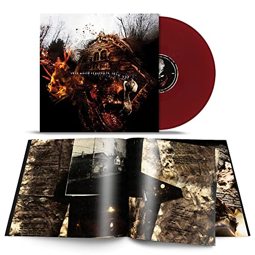This World Is Going To Ruin You (Red in gatefold) [Vinilo]